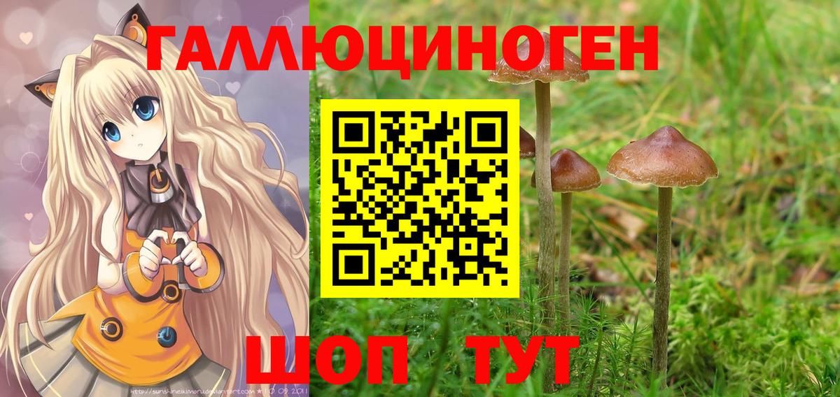 Псилоцибиновые грибы GOLDEN TEACHER  Вход с VPN  Галлюциногенные грибы Psilocybe  Истра 